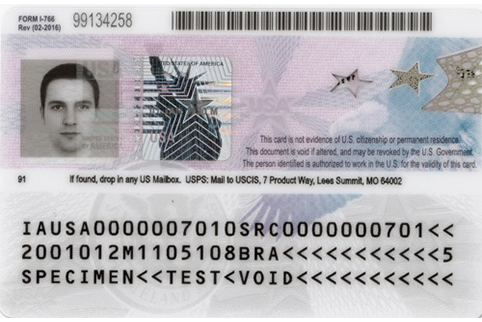 Back view of current Employment Authorization Card