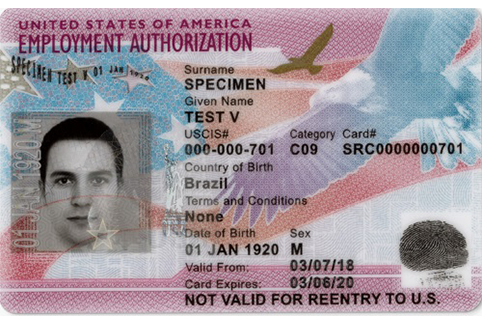 Front view of an Employment Authorization Card