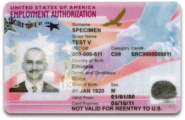 employment authorization document (Form I-766)